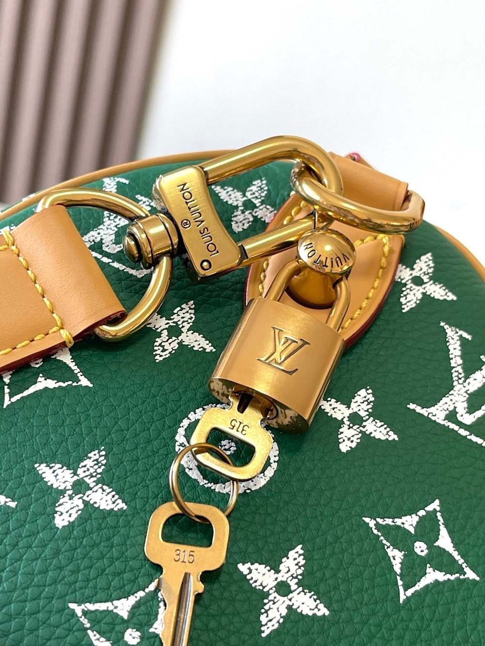 Dragons Bags ln Luxury Bag --97308