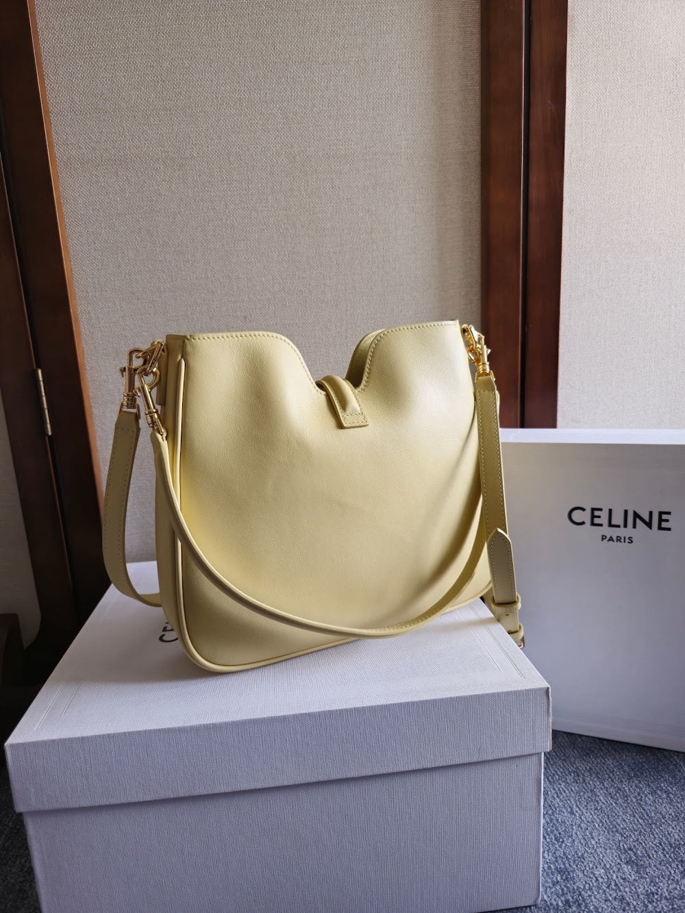 Dragons Bags Celine Luxury Bag --112207