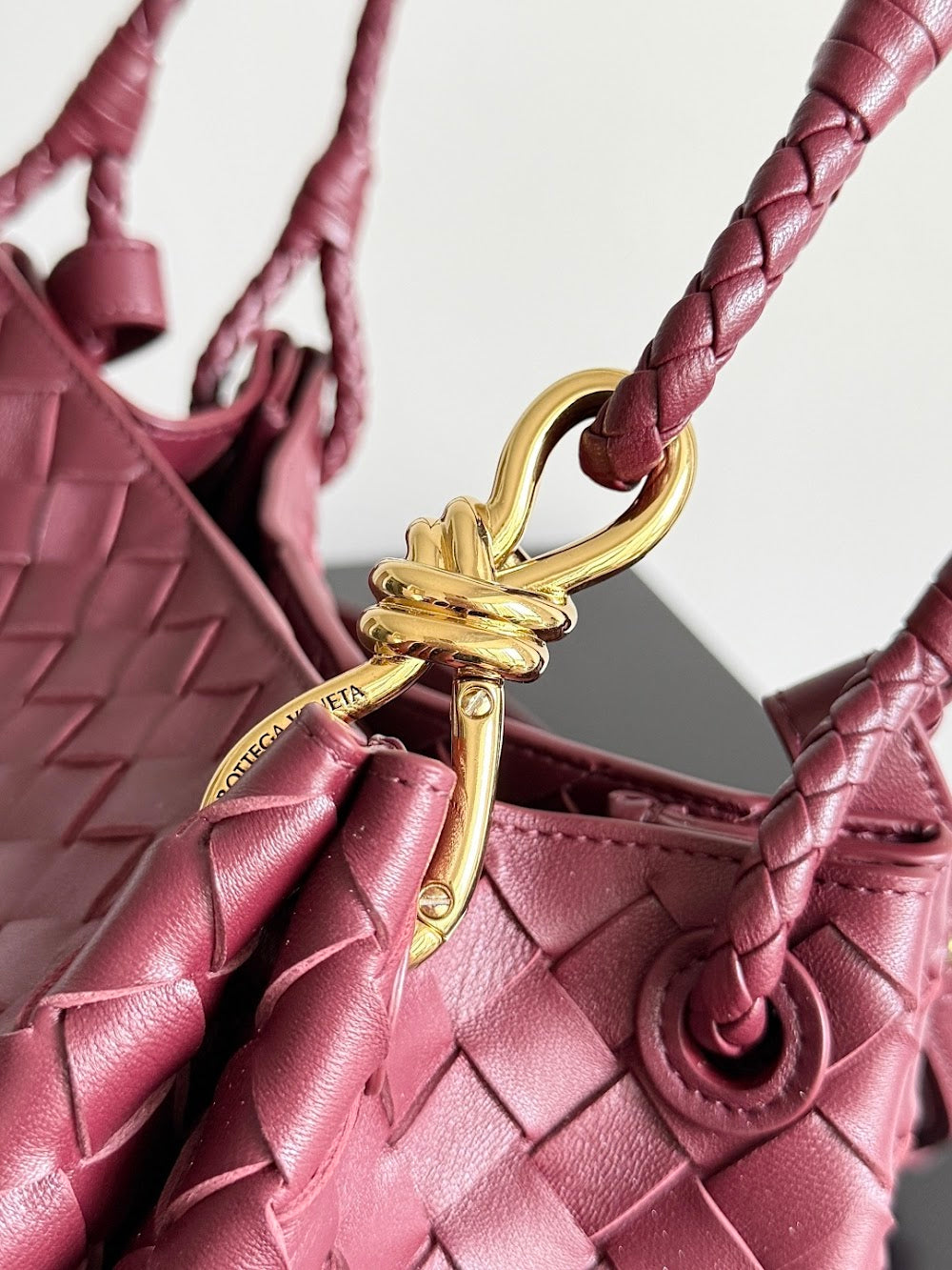 Dragons Bags Bottegan Luxury Bag --91384