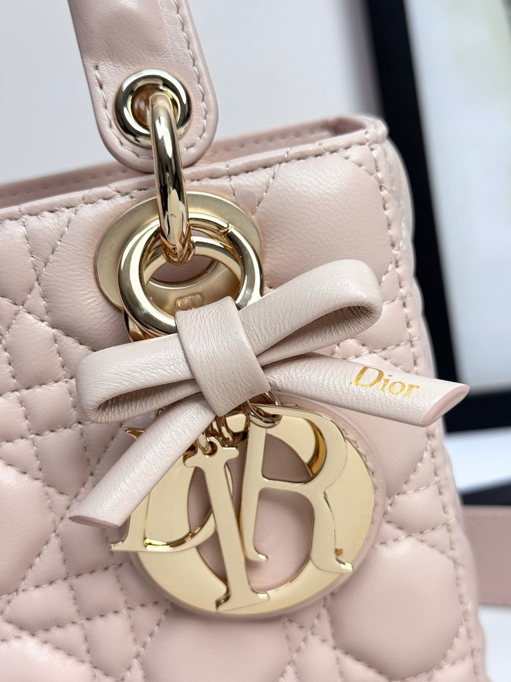 Dragons BagsDiorn Luxury Bag --114952