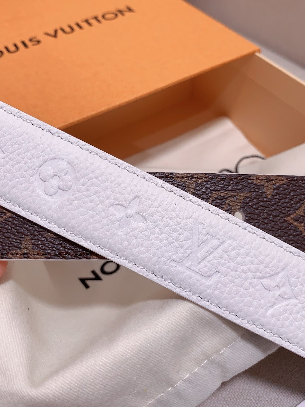Dragons Bags ln Luxury Belt --109404