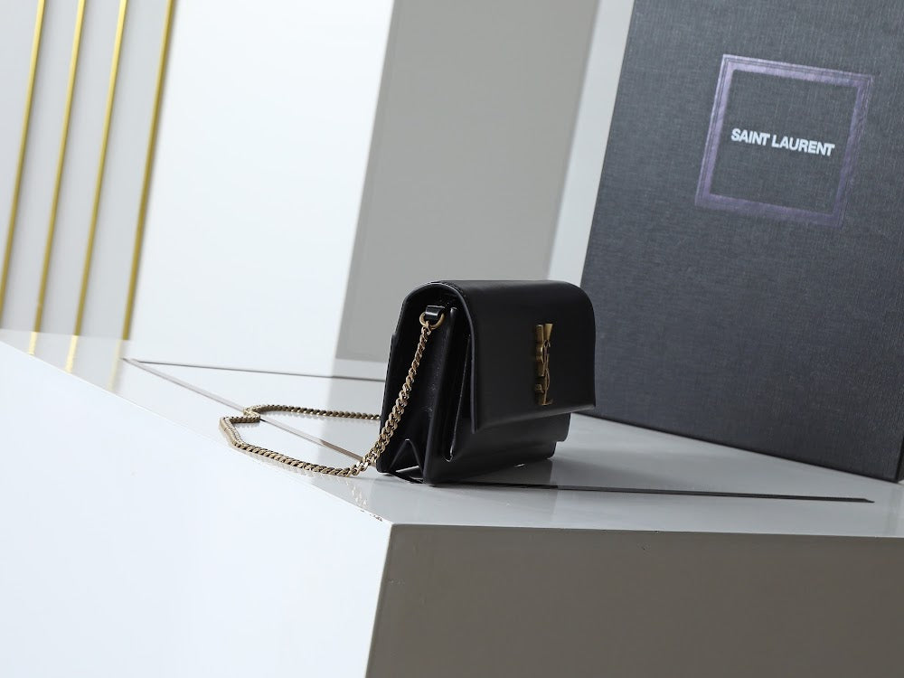 Dragons Bags YSLn Luxury Bag --119829