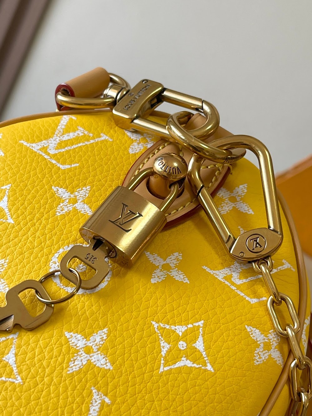 Dragons Bags ln Luxury Bag --97311