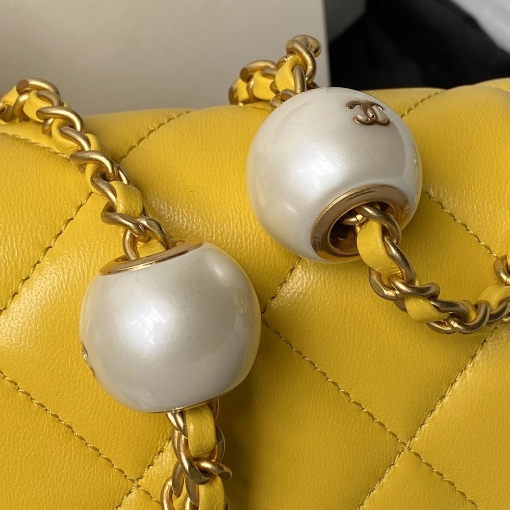 new-designer-premium-bags-nm10316