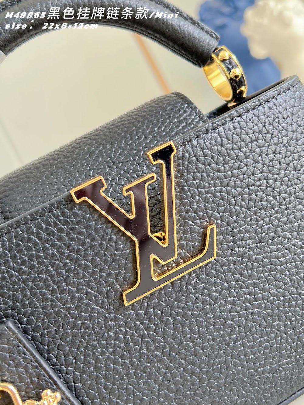 Dragons Bags ln Luxury Bag --96666