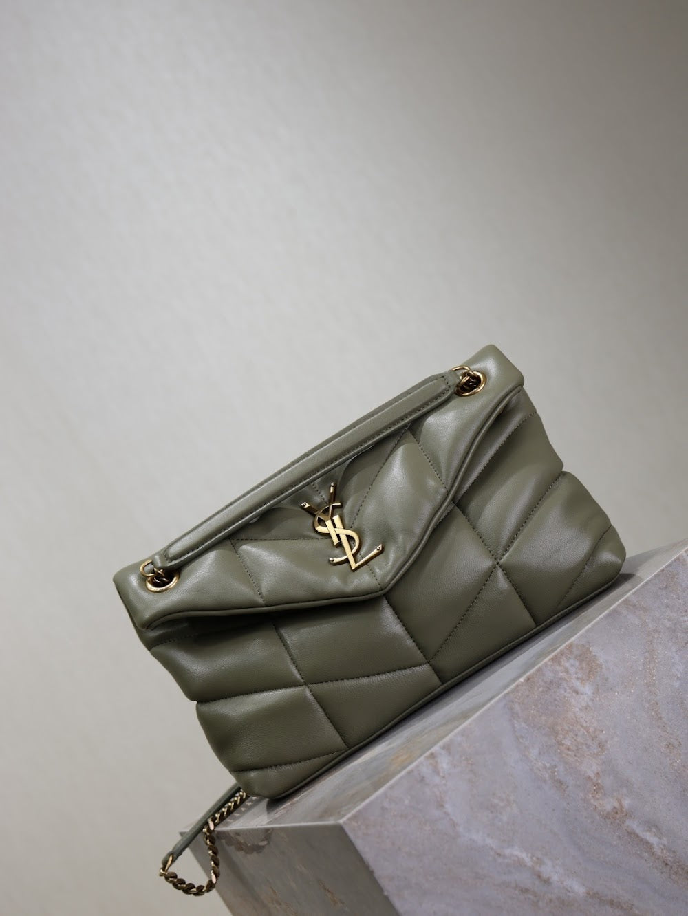 Dragons Bags YSLn Luxury Bag --119445
