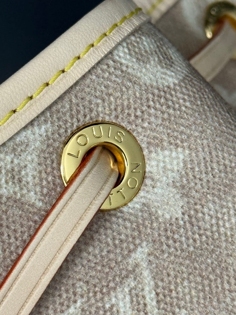 Dragons Bags ln Luxury Bag --96841