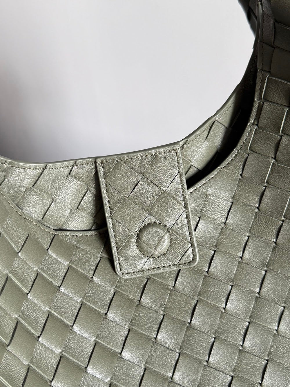 Dragons Bags Bottegan Luxury Bag --91322