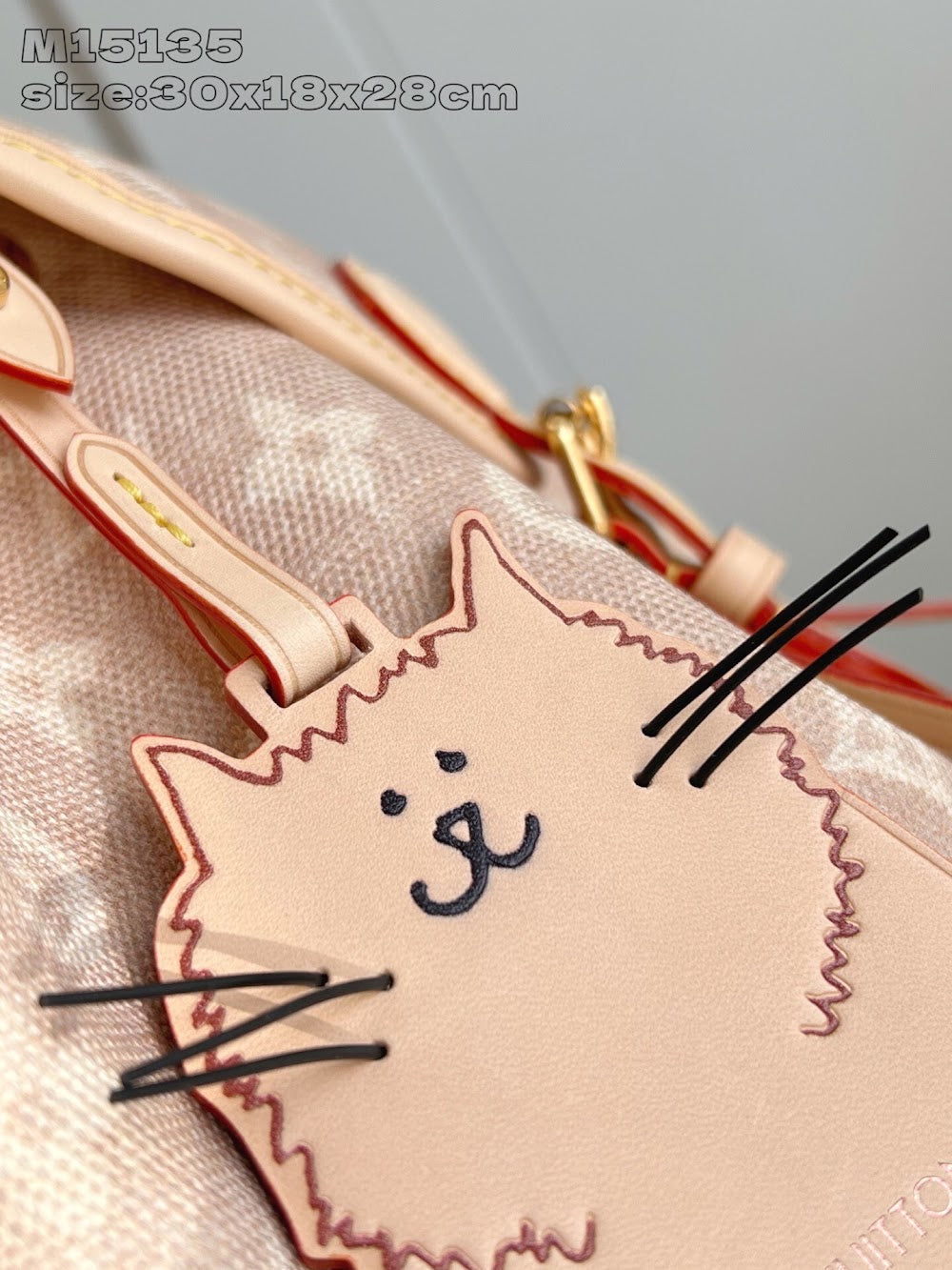 Dragons Bags ln Luxury Bag --96978