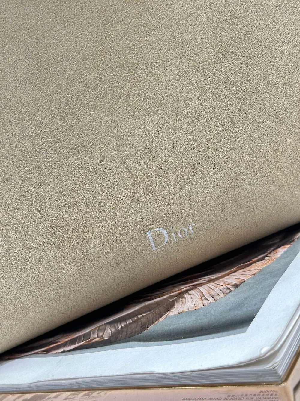 Dragons BagsDiorn Luxury Bag --115544
