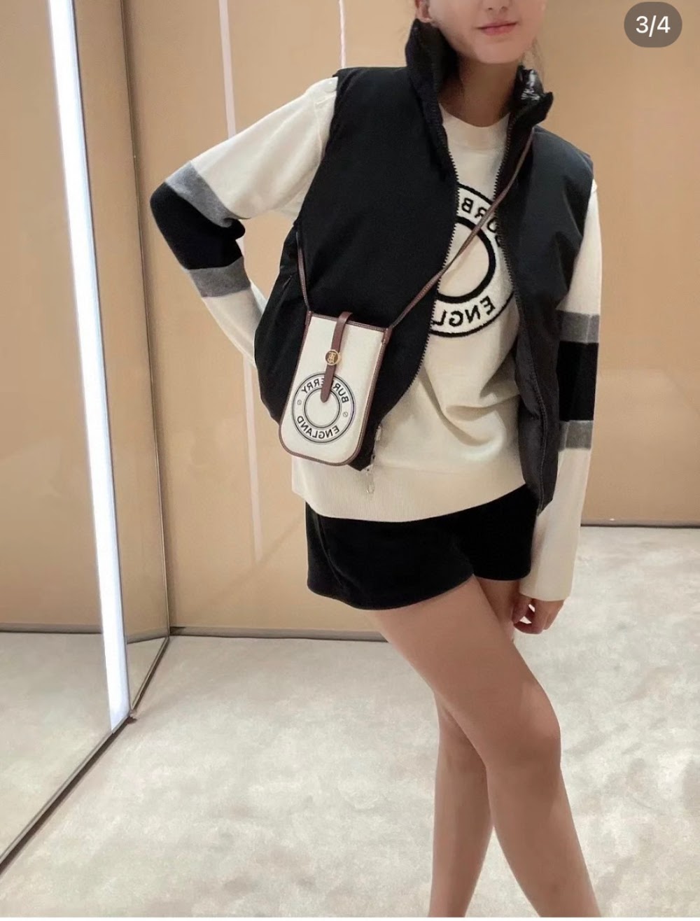 Dragons Bags Burberryn Luxury Bag --92566