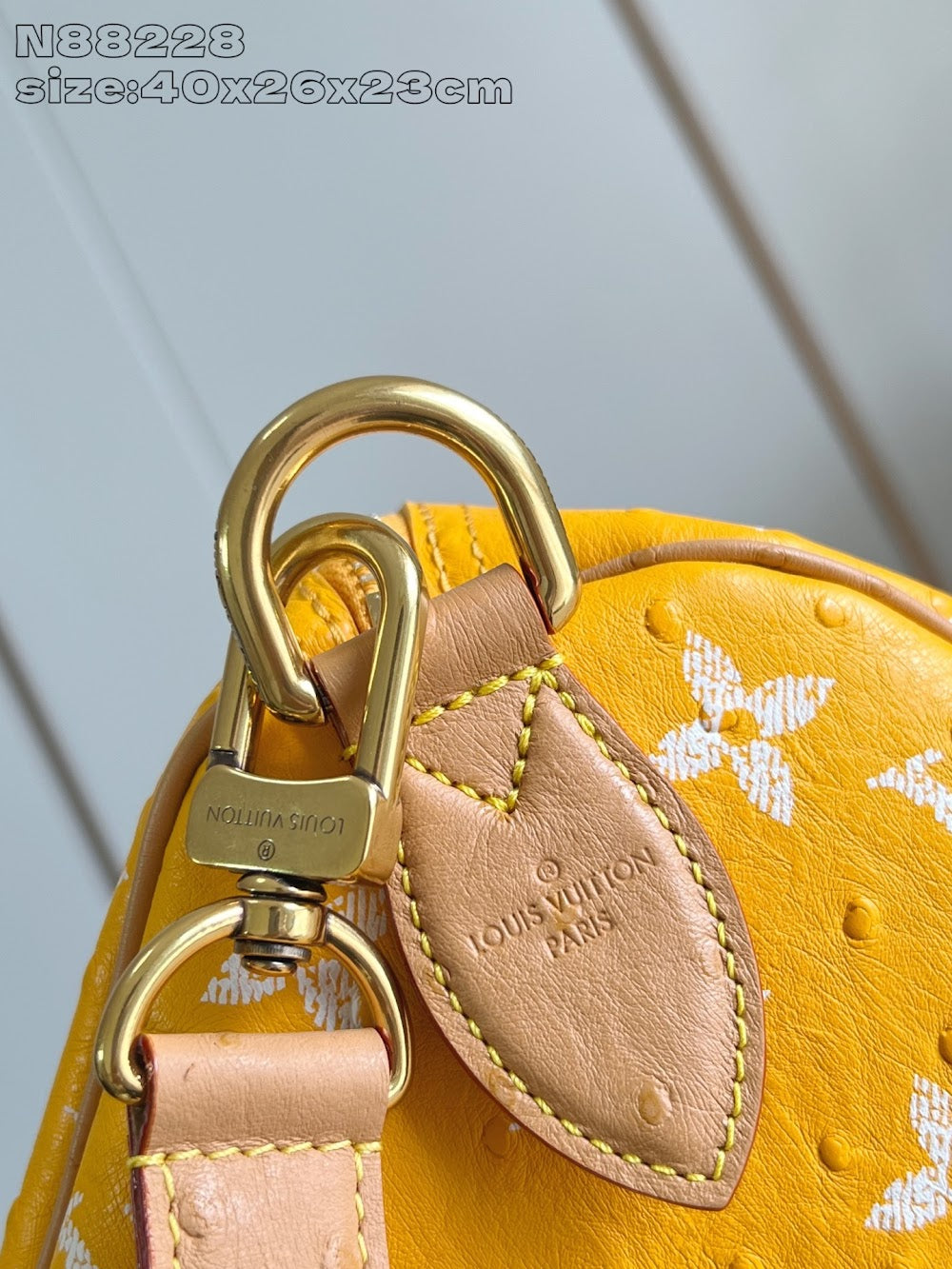 Dragons Bags ln Luxury Bag --97539