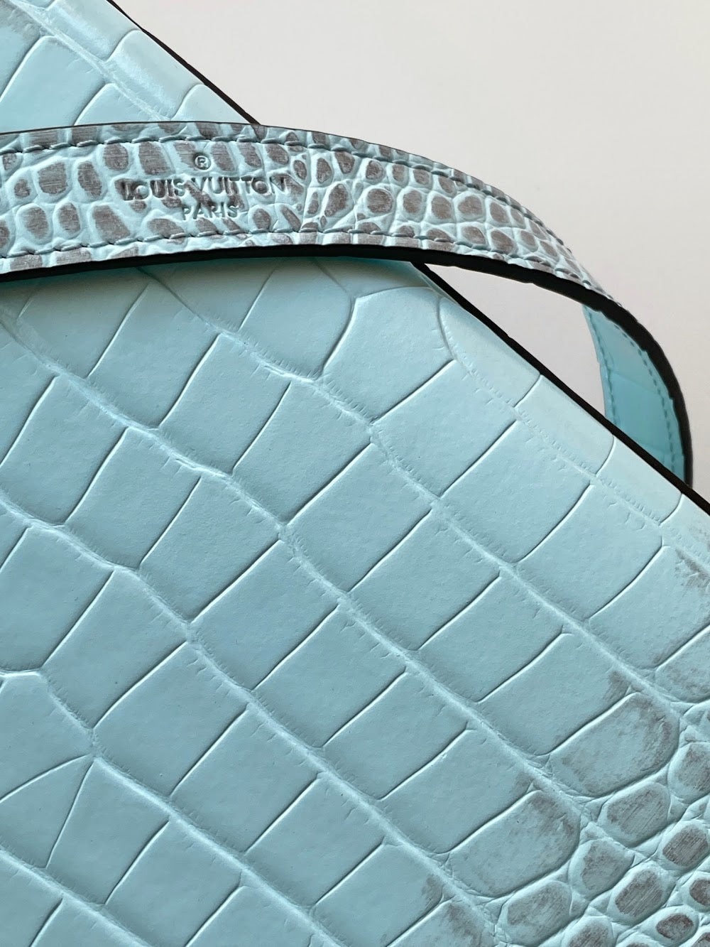 Dragons Bags ln Luxury Bag --96206