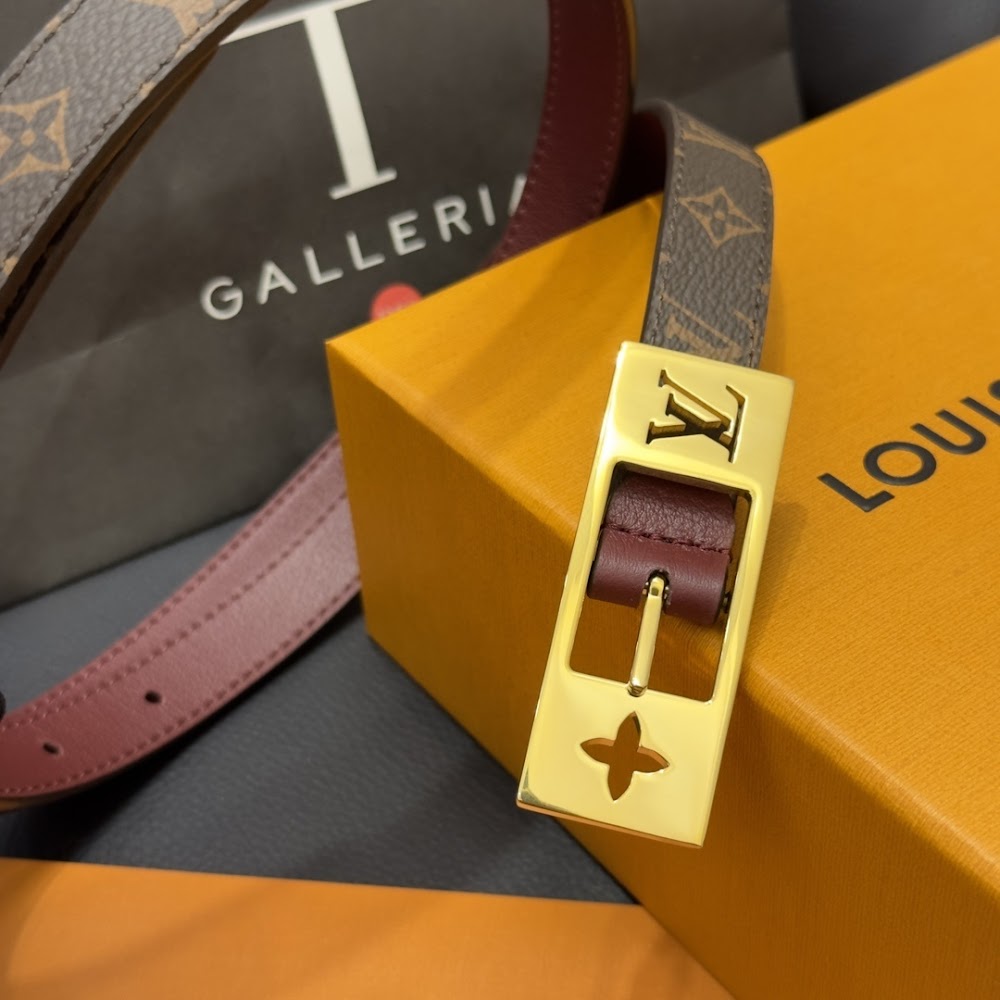 Dragons Bags ln Luxury Belt --100798