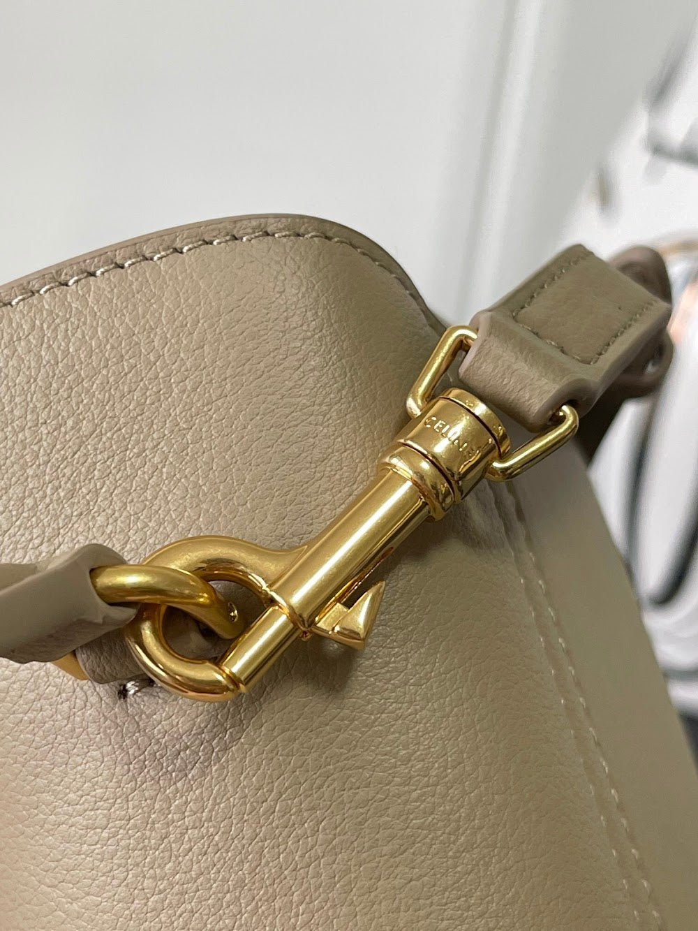 Dragons Bags Celine Luxury Bag --112331