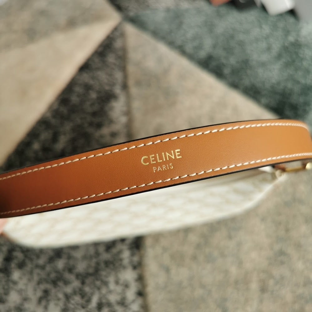 Dragons Bags Celine Luxury Bag --111969