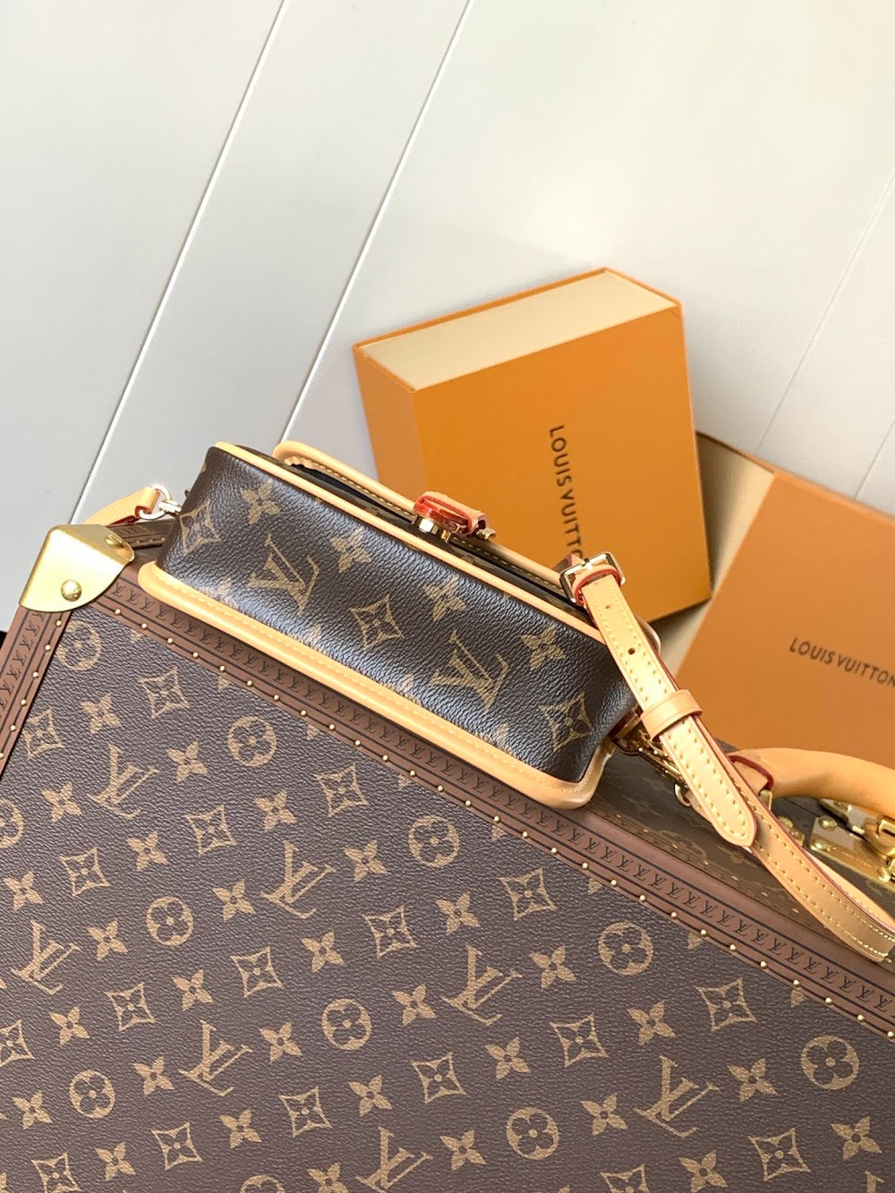 Dragons Bags LVn Luxury Bag --79941