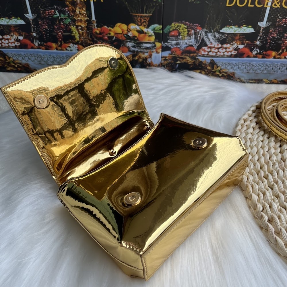 Dragons Bags DGn Luxury Bag --93938