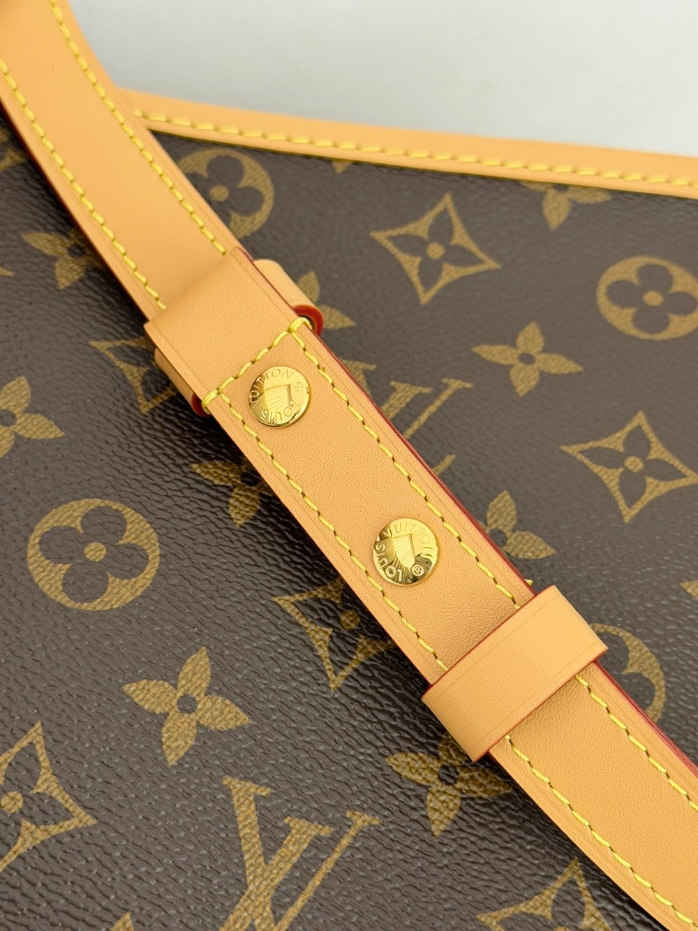 Dragons Bags ln Luxury Bag --96383