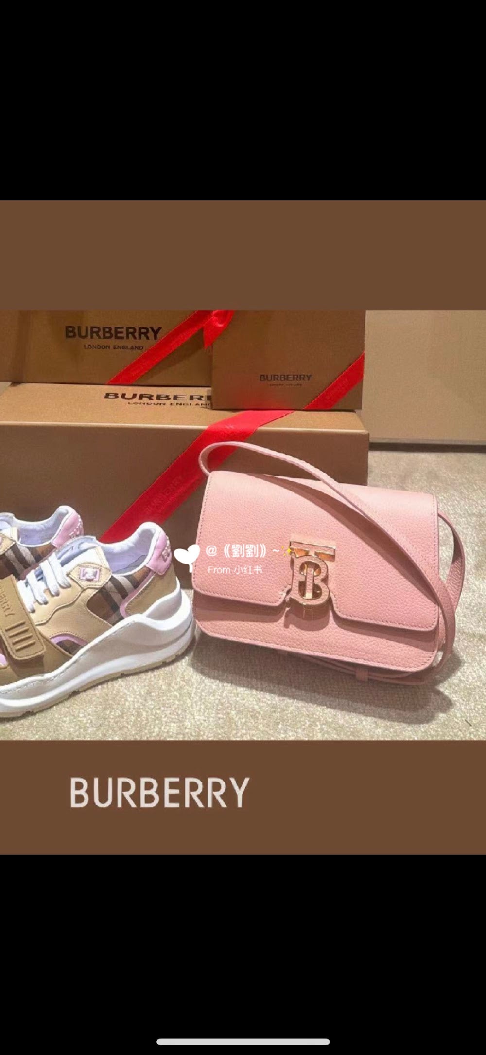 Dragons Bags Burberryn Luxury Bag --92695