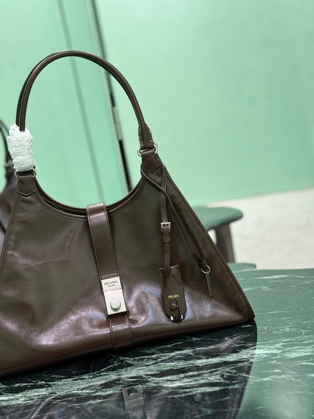 Dragons Bags Pradn Luxury Bag --102301