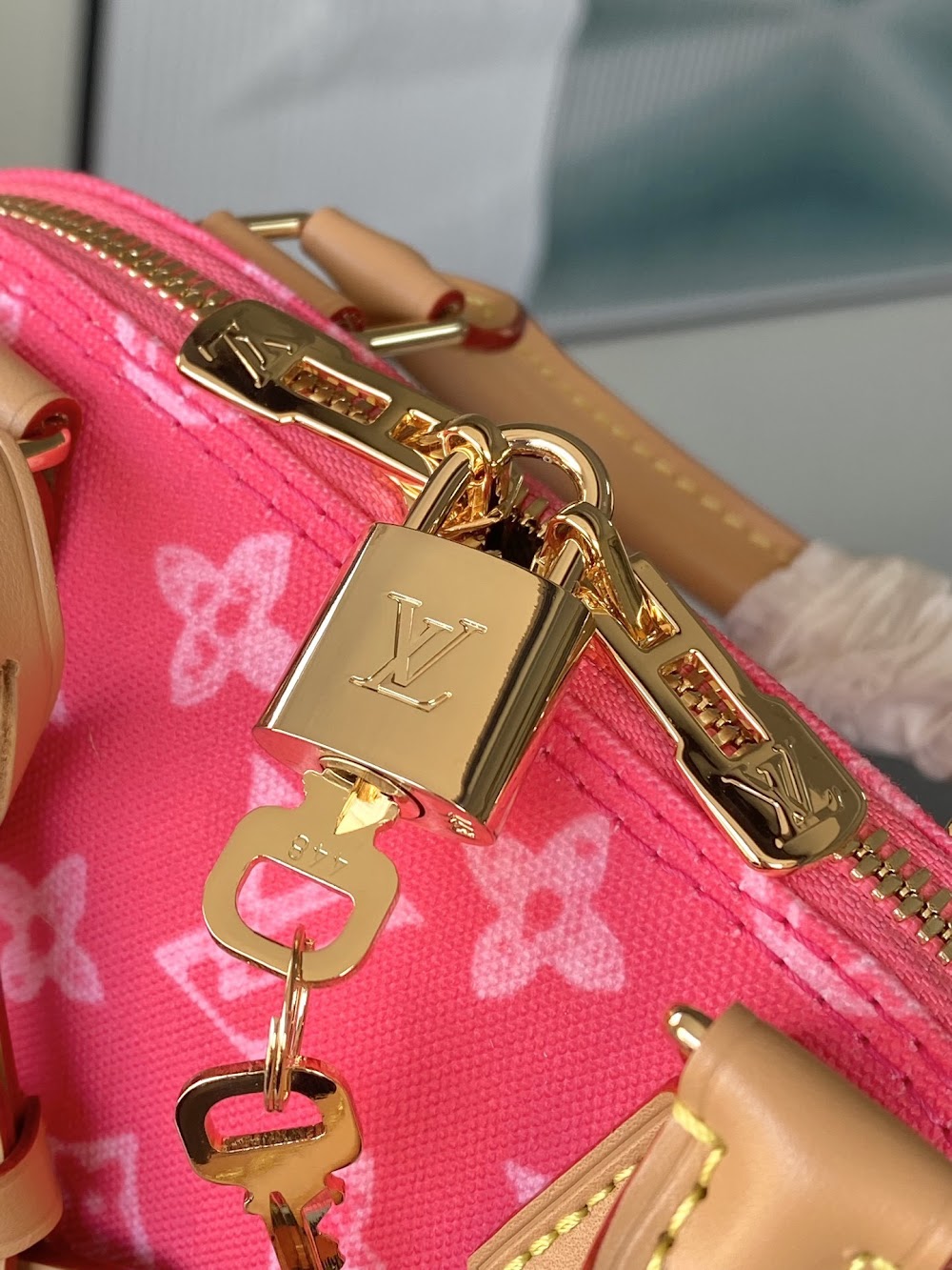 Dragons Bags ln Luxury Bag --95825