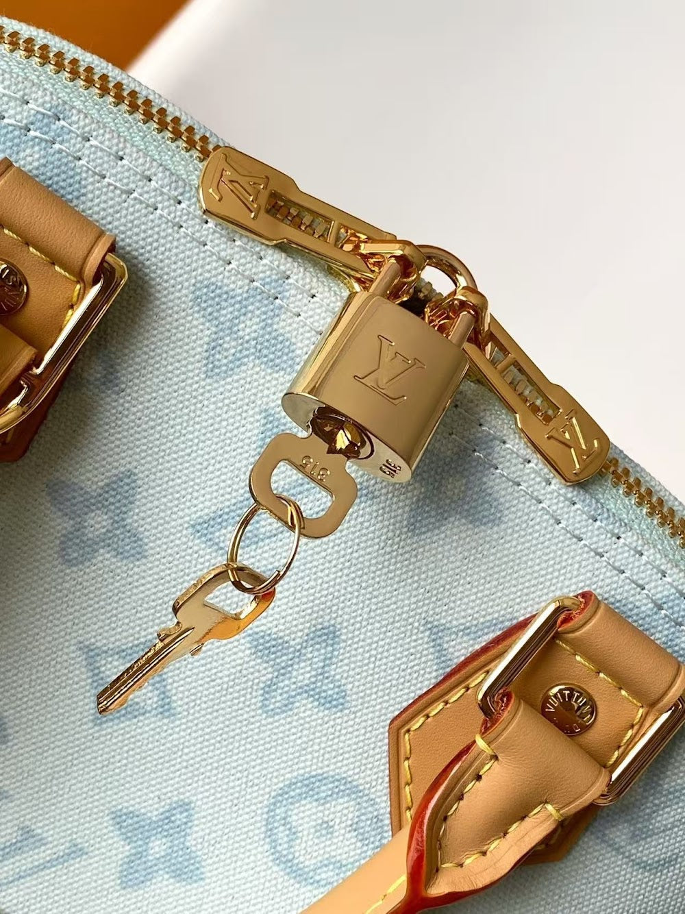 Dragons Bags ln Luxury Bag --81860