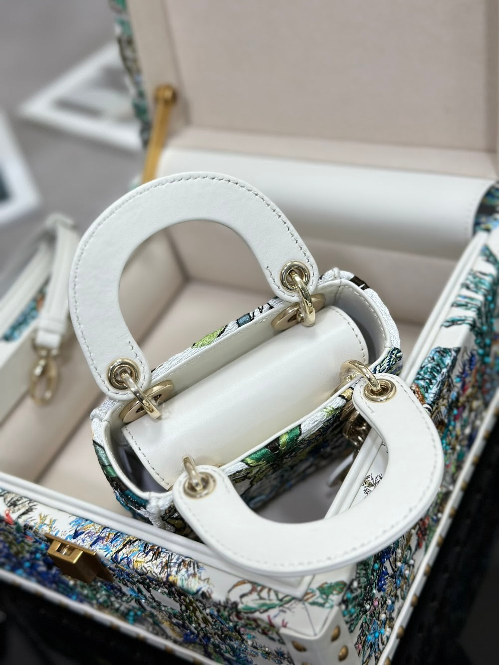 Dragons BagsDiorn Luxury Bag --114460