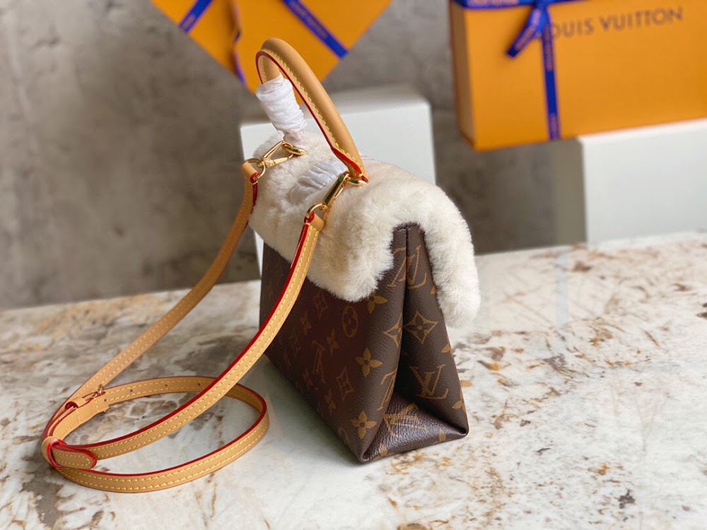 Dragons Bags LVn Luxury Bag --79896