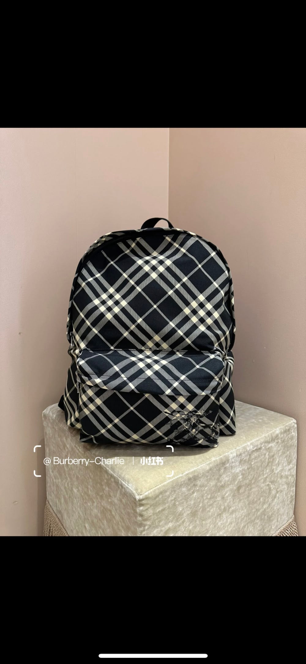 Dragons Bags Burberryn Luxury Bag --93077