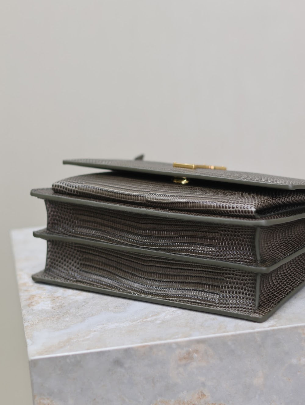 Dragons Bags YSLn Luxury Bag --119544