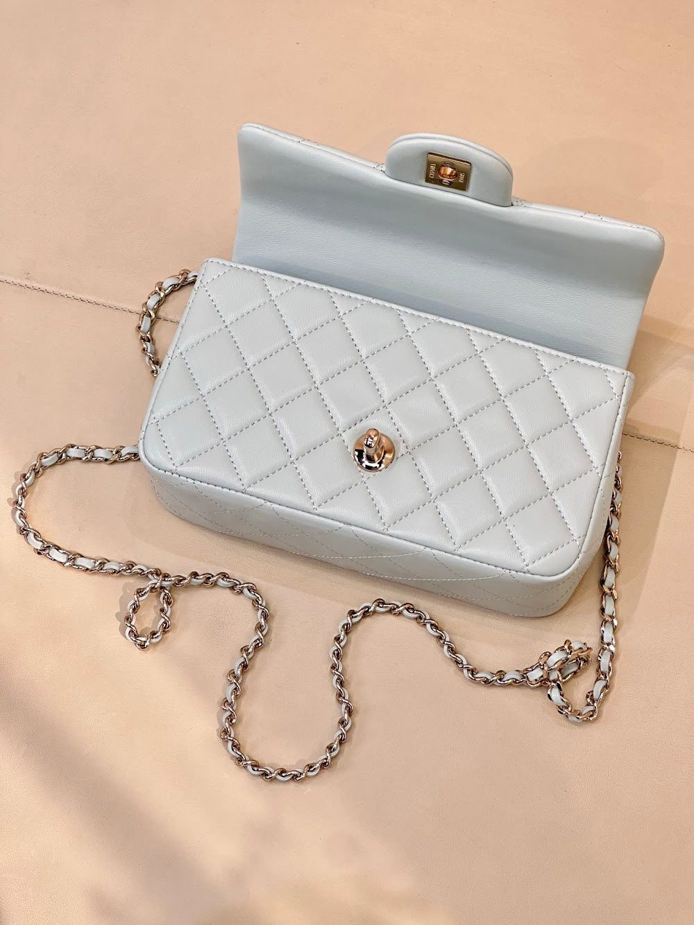 Dragons Bags CHn Luxury Bag --112878