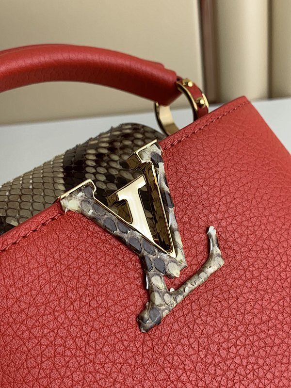 Dragons Bags ln Luxury Bag --61301