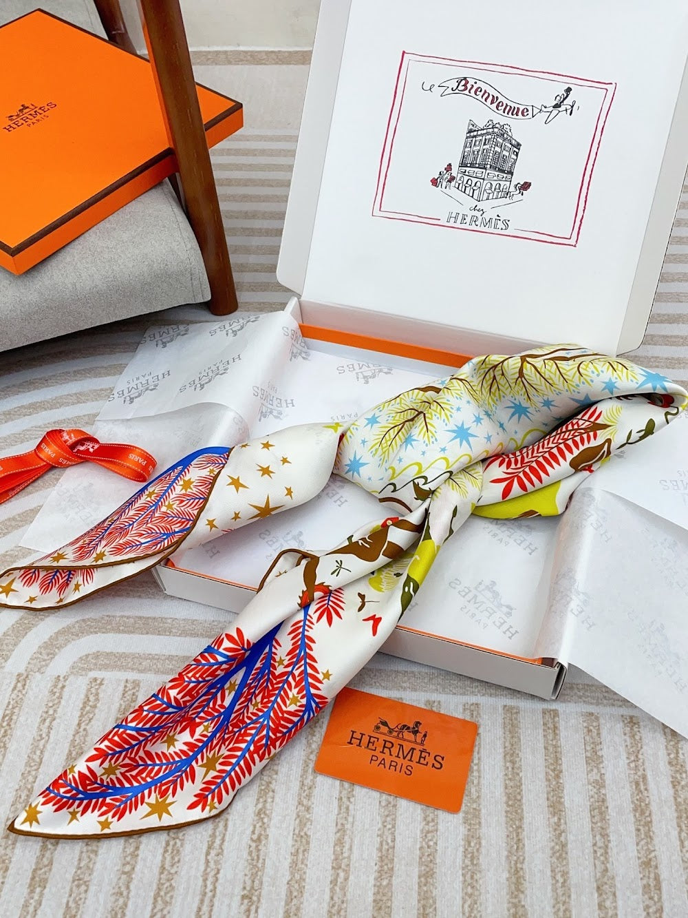 Dragons Bags Premium Designer Scarf --98838