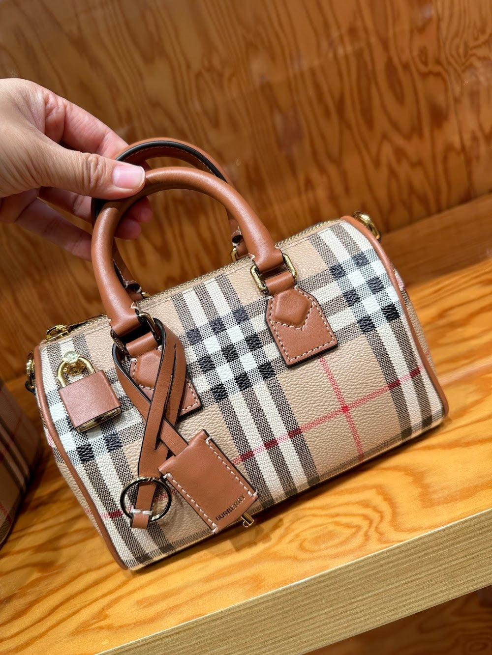 Dragons Bags Burberryn Luxury Bag --92137