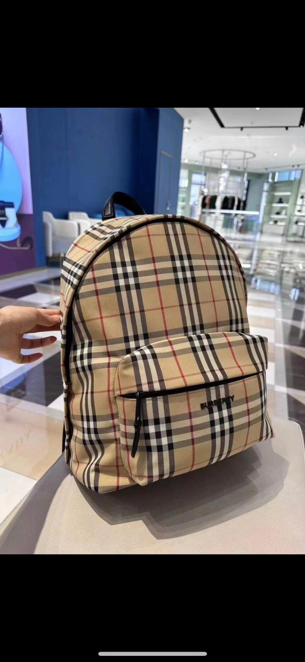 Dragons Bags Burberryn Luxury Bag --91719