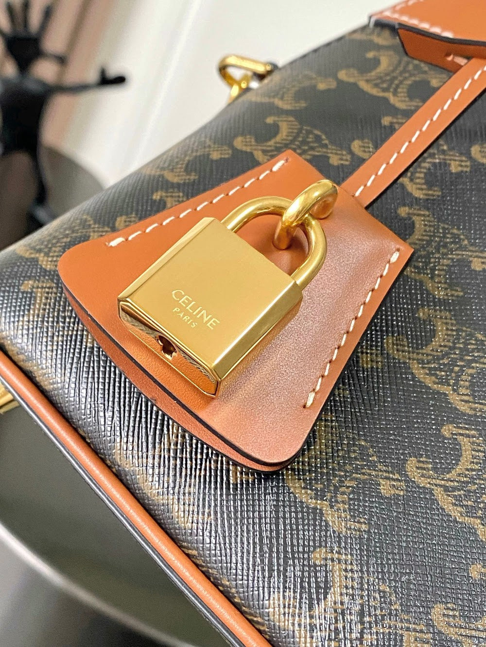 Dragons Bags Celine Luxury Bag --112099