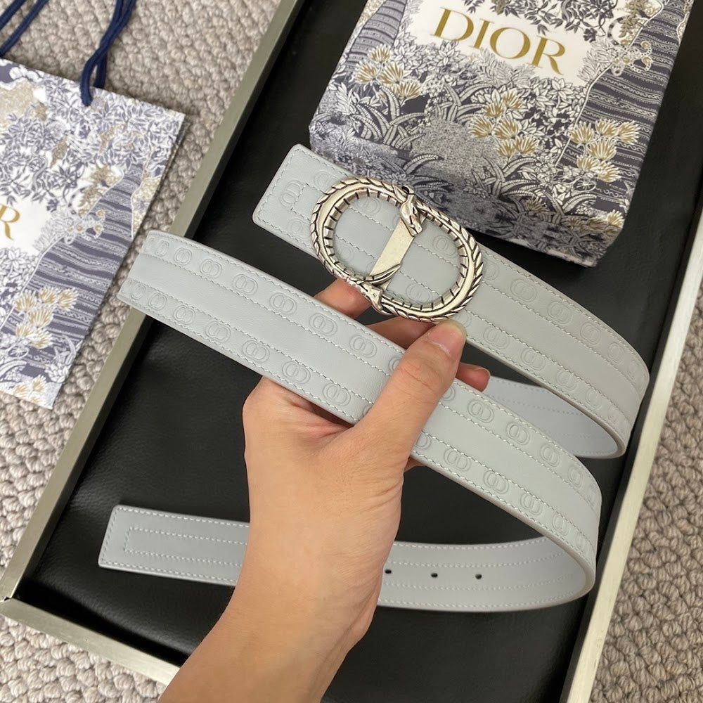 Dragons Bags Diorn Luxury Belt --104910