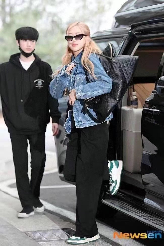 Dragons Bags YSLn Luxury Bag --120208