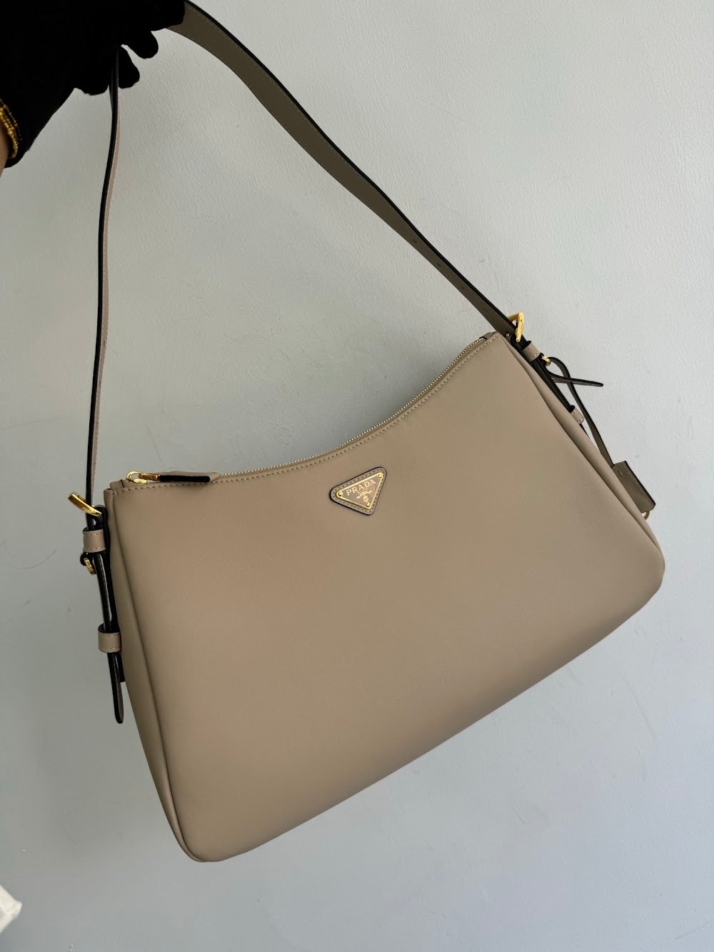 Dragons Bags Pradn Luxury Bag --102563