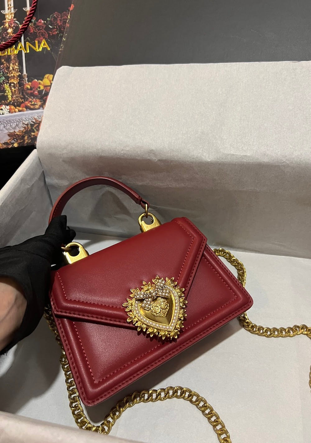 Dragons Bags DGn Luxury Bag --93536