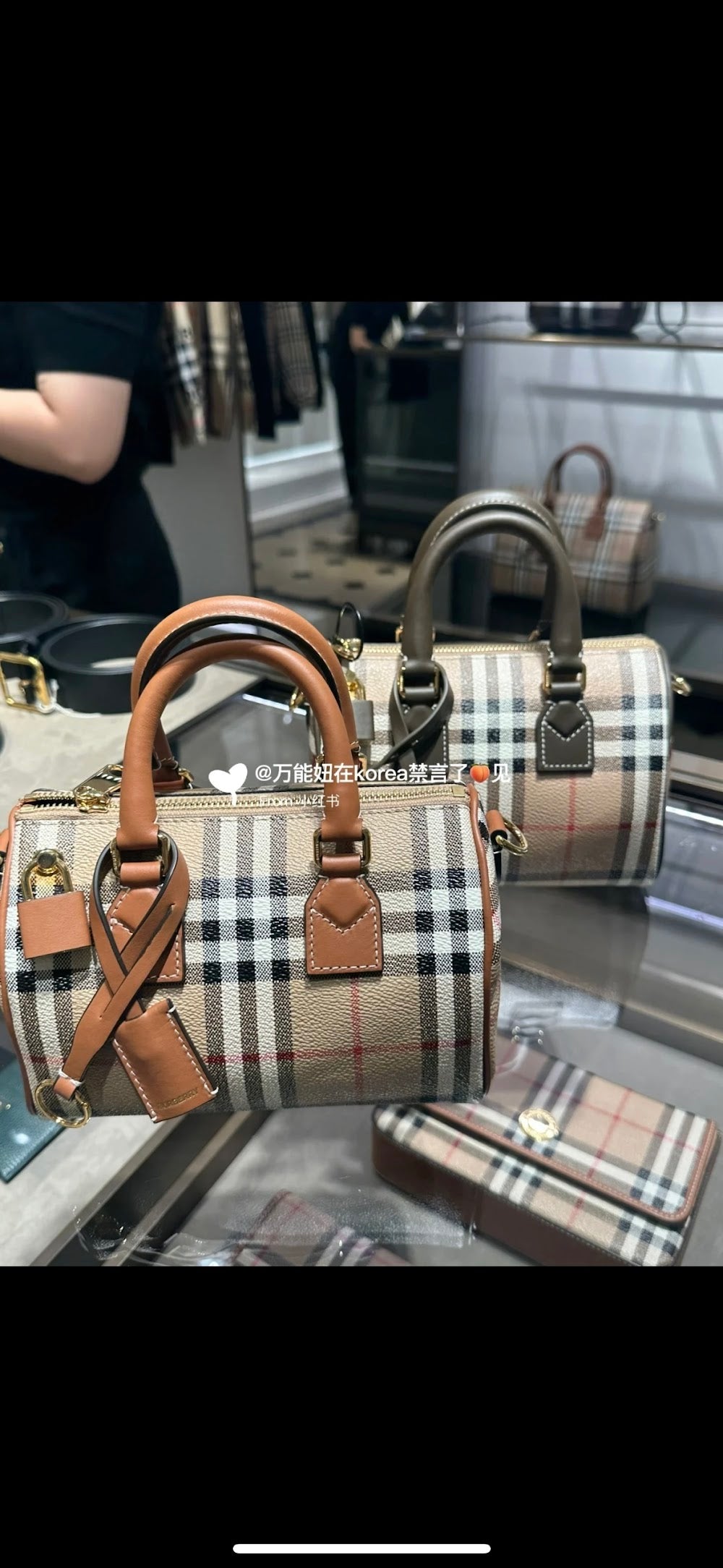 Dragons Bags Burberryn Luxury Bag --92039