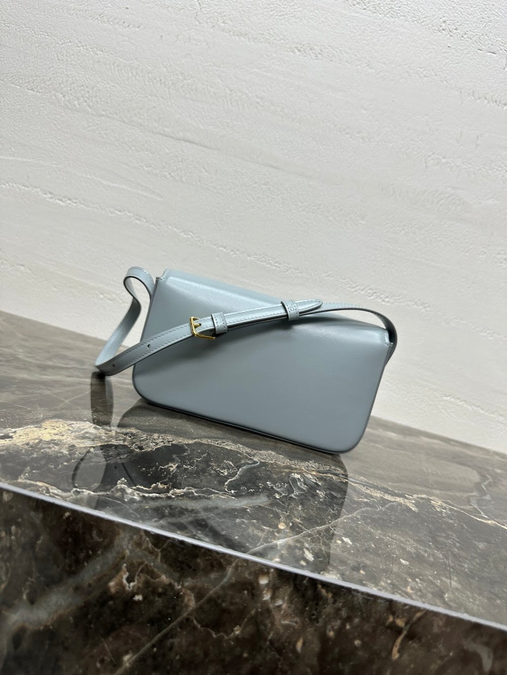 Dragons Bags Celine Luxury Bag --112425