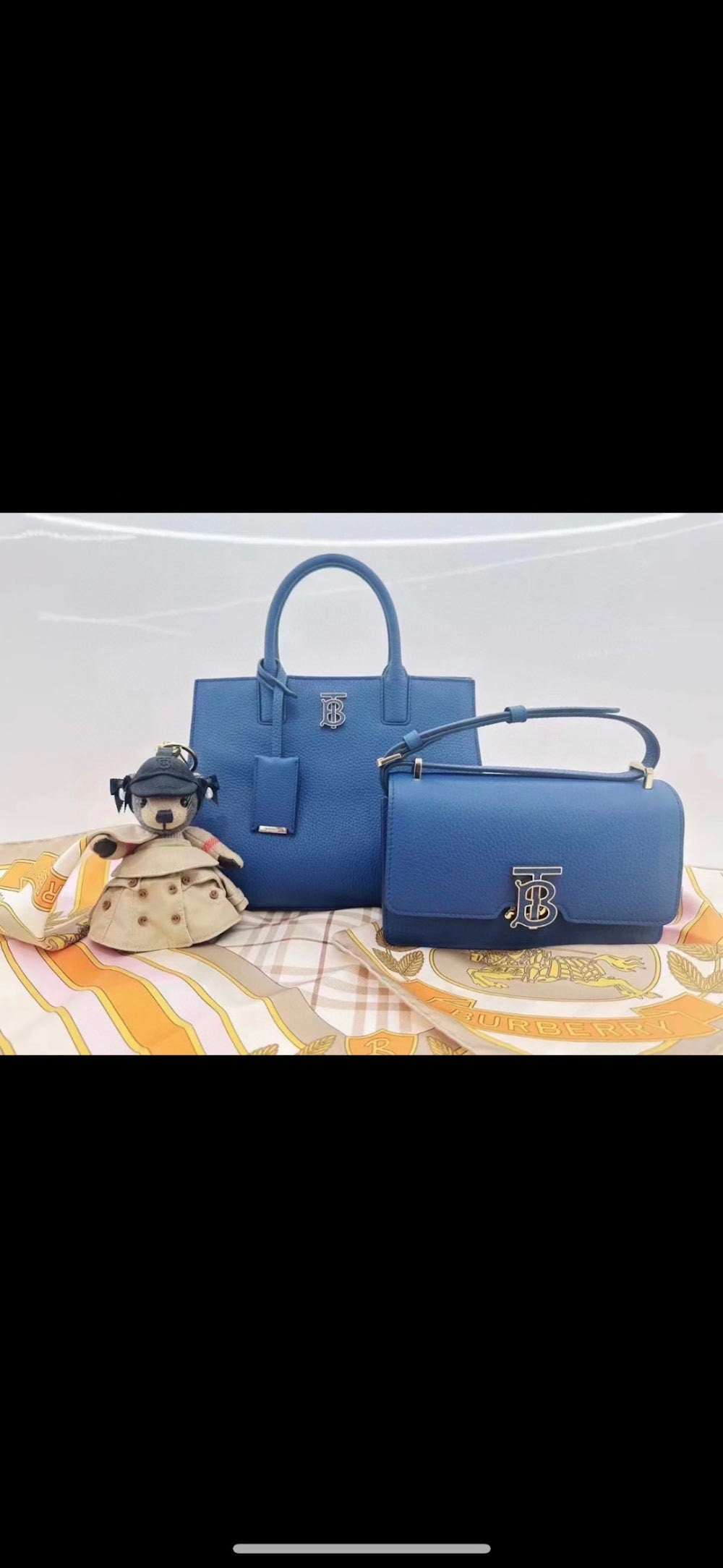 Dragons Bags Burberryn Luxury Bag --91607
