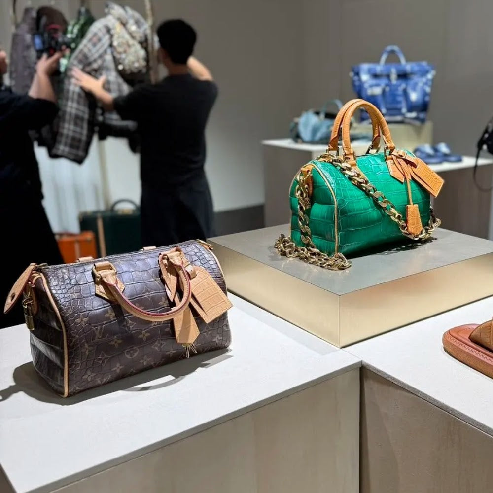 Dragons Bags ln Luxury Bag --97147