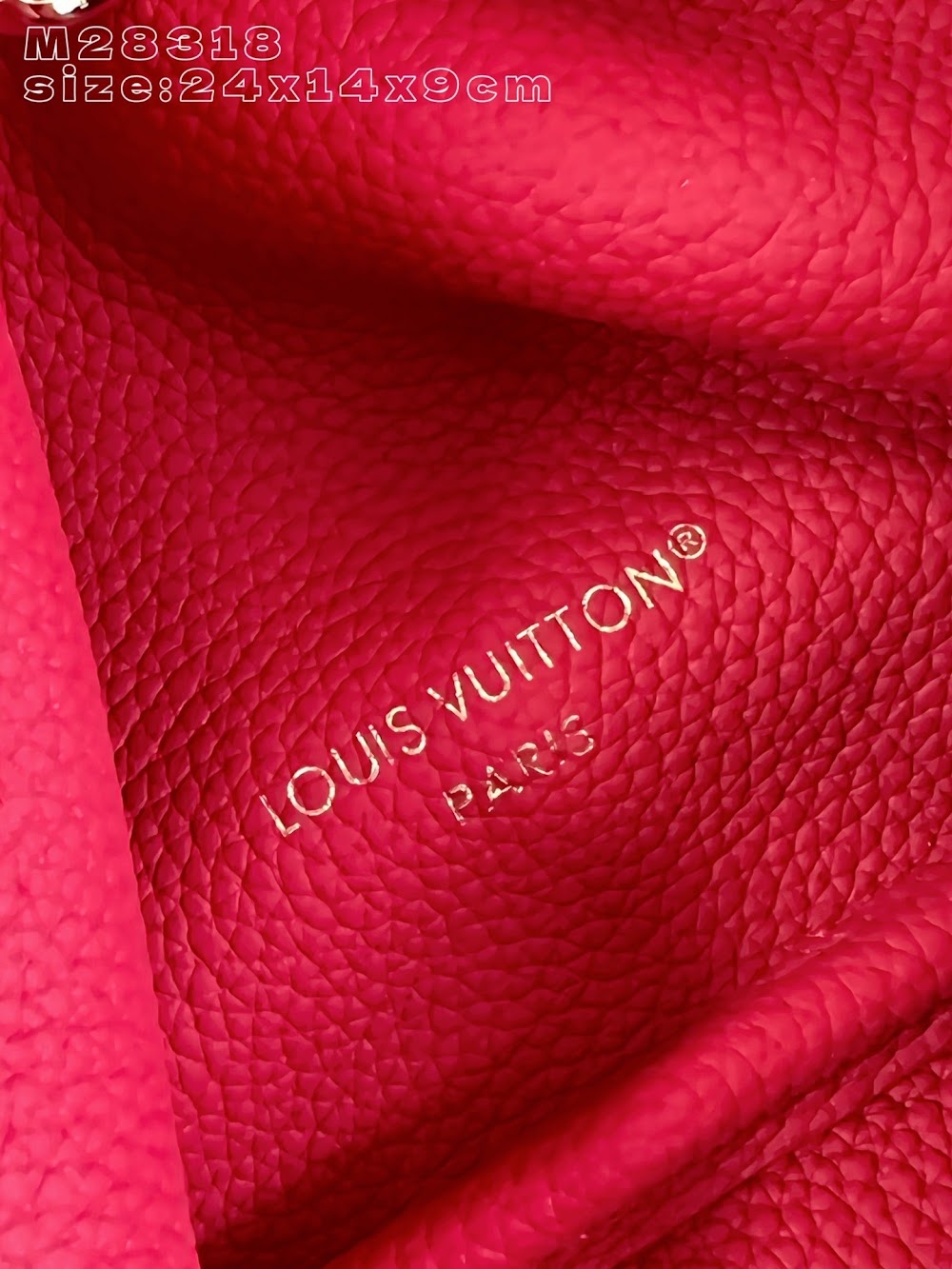 Dragons Bags ln Luxury Bag --96452