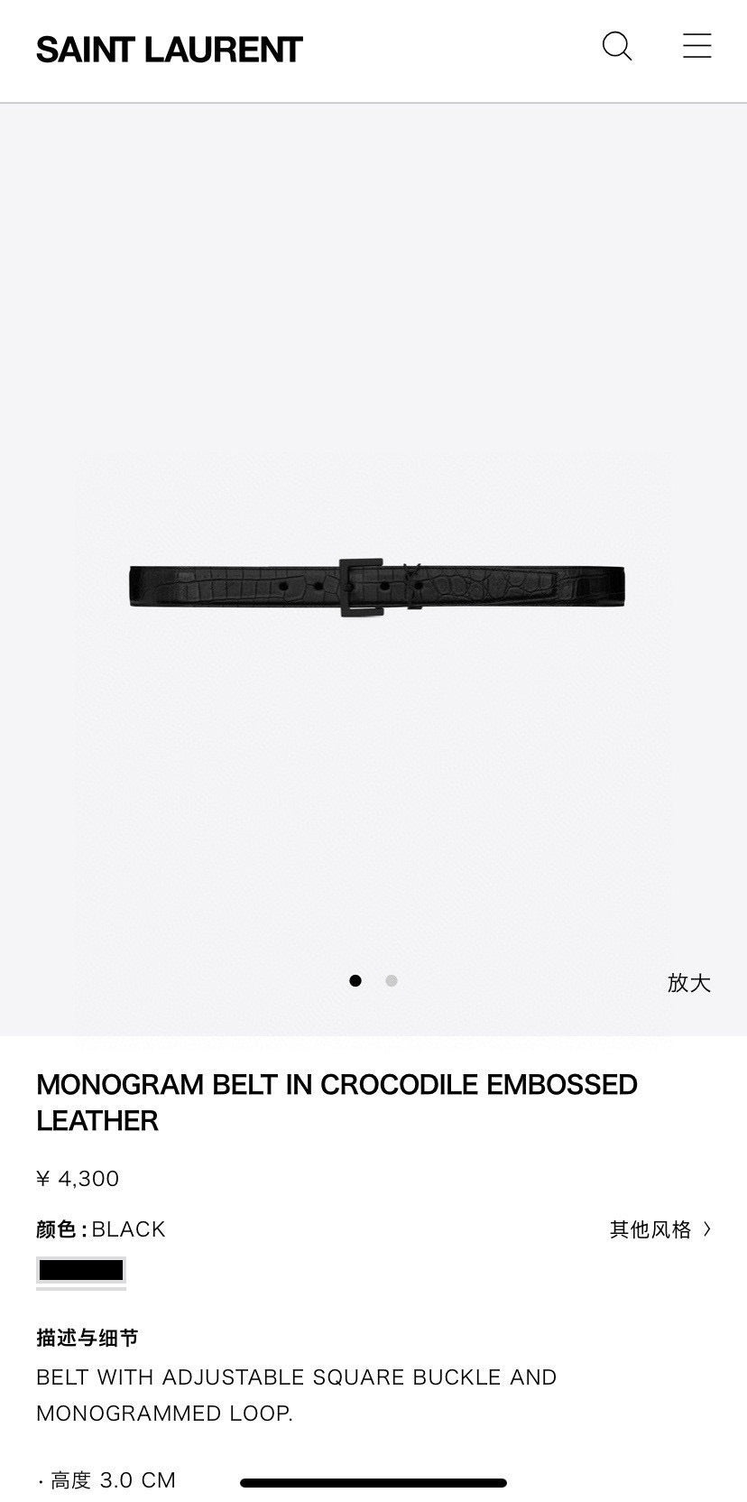 Dragons Bags YSLn Luxury Belt --110521