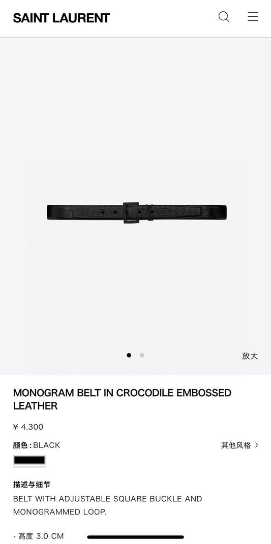 Dragons Bags YSLn Luxury Belt --110521