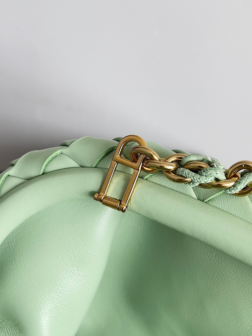 Dragons Bags Bottegan Luxury Bag --91077