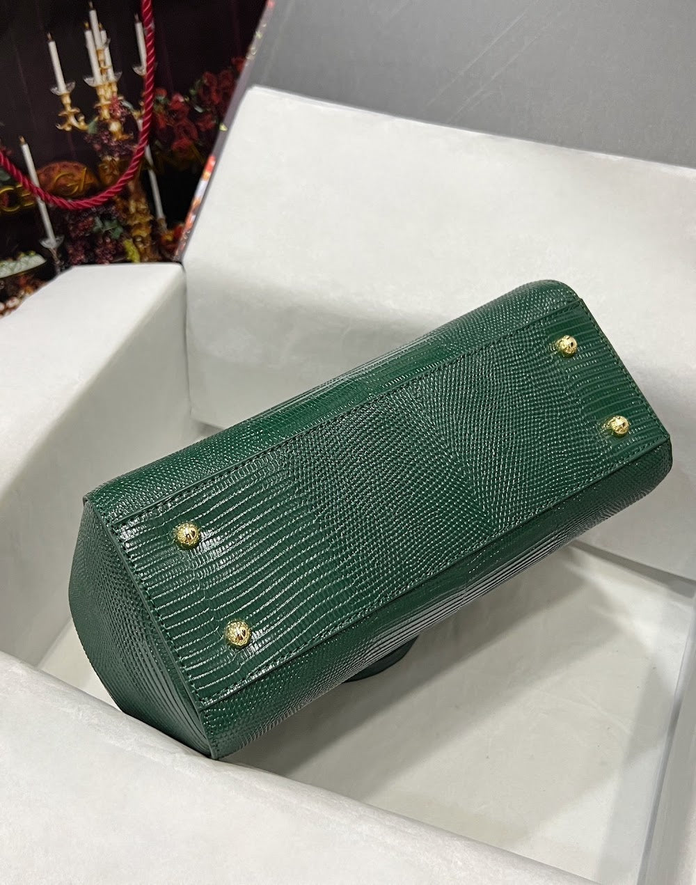 Dragons Bags DGn Luxury Bag --93501